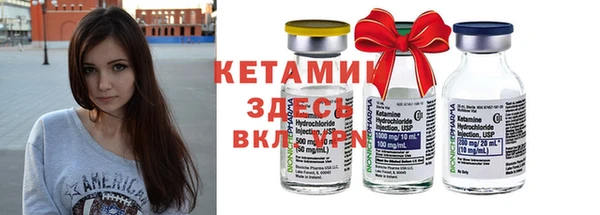 гашик Алексеевка