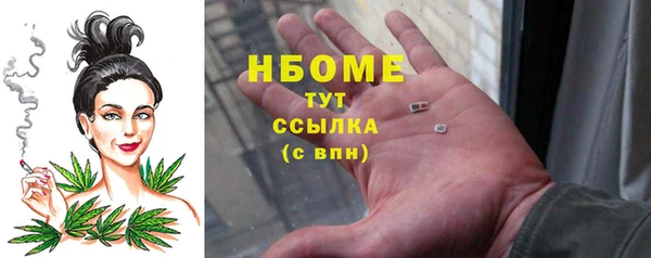хмурый Алексин