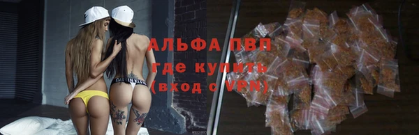 гашик Алексеевка