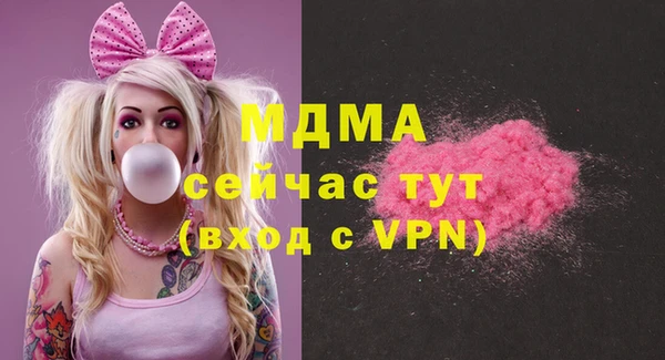 хмурый Алексин