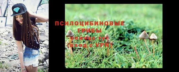 хмурый Алексин
