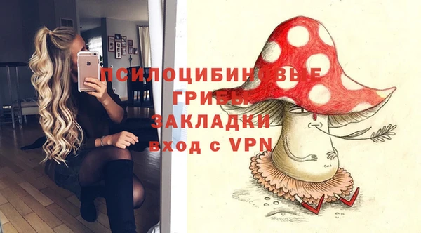 хмурый Алексин