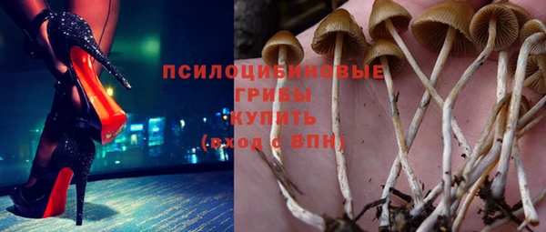 гашик Алексеевка