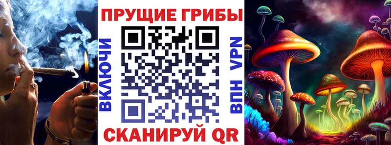 закладки  Дудинка  Галлюциногенные грибы ЛСД 